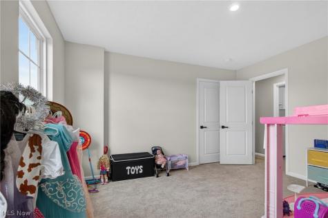 1116 Keenan Court Grafton OH 44044