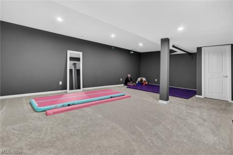 1116 Keenan Court Grafton OH 44044