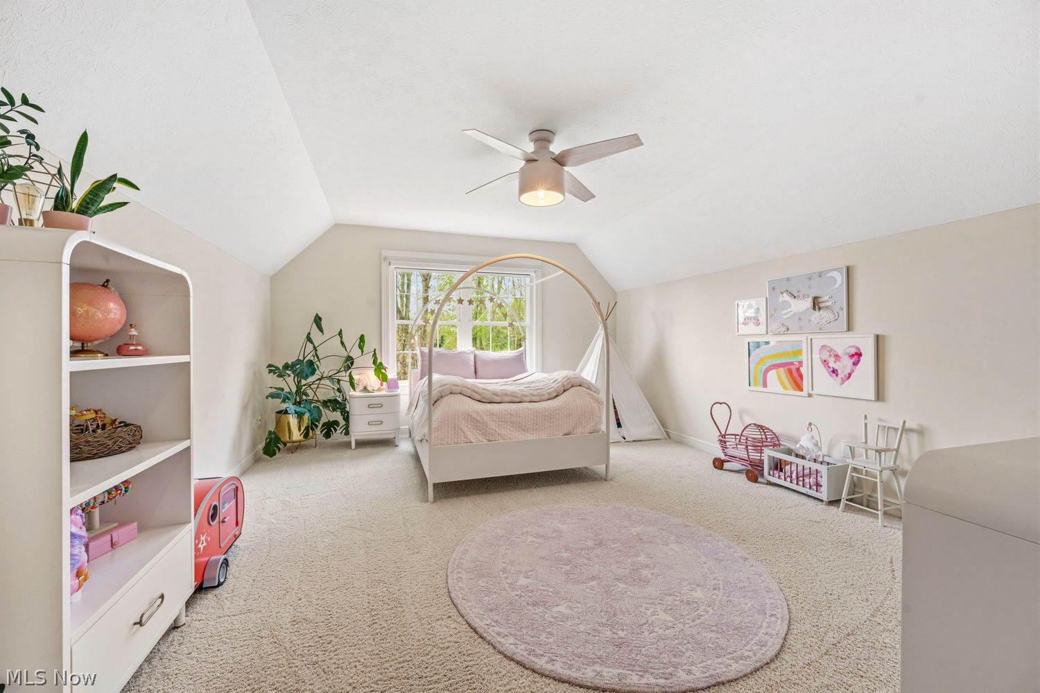 6084 Nicholson Drive Hudson OH 44236
