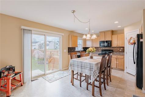 519 N Ashwood Lane Painesville OH 44077