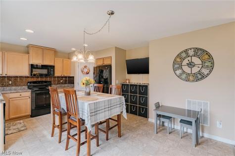 519 N Ashwood Lane Painesville OH 44077