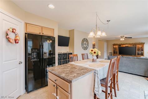 519 N Ashwood Lane Painesville OH 44077
