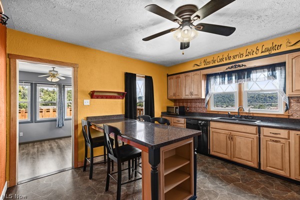 567 W 44th Street Shadyside OH 43947