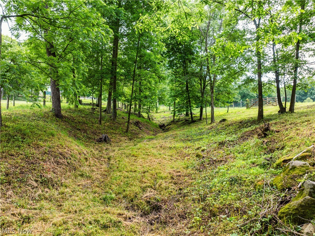 50117 Township Road 215 Fresno OH 43824