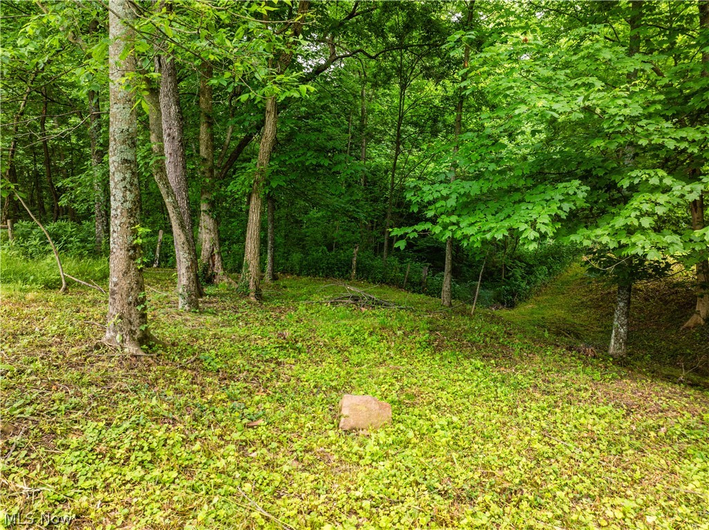 50117 Township Road 215 Fresno OH 43824