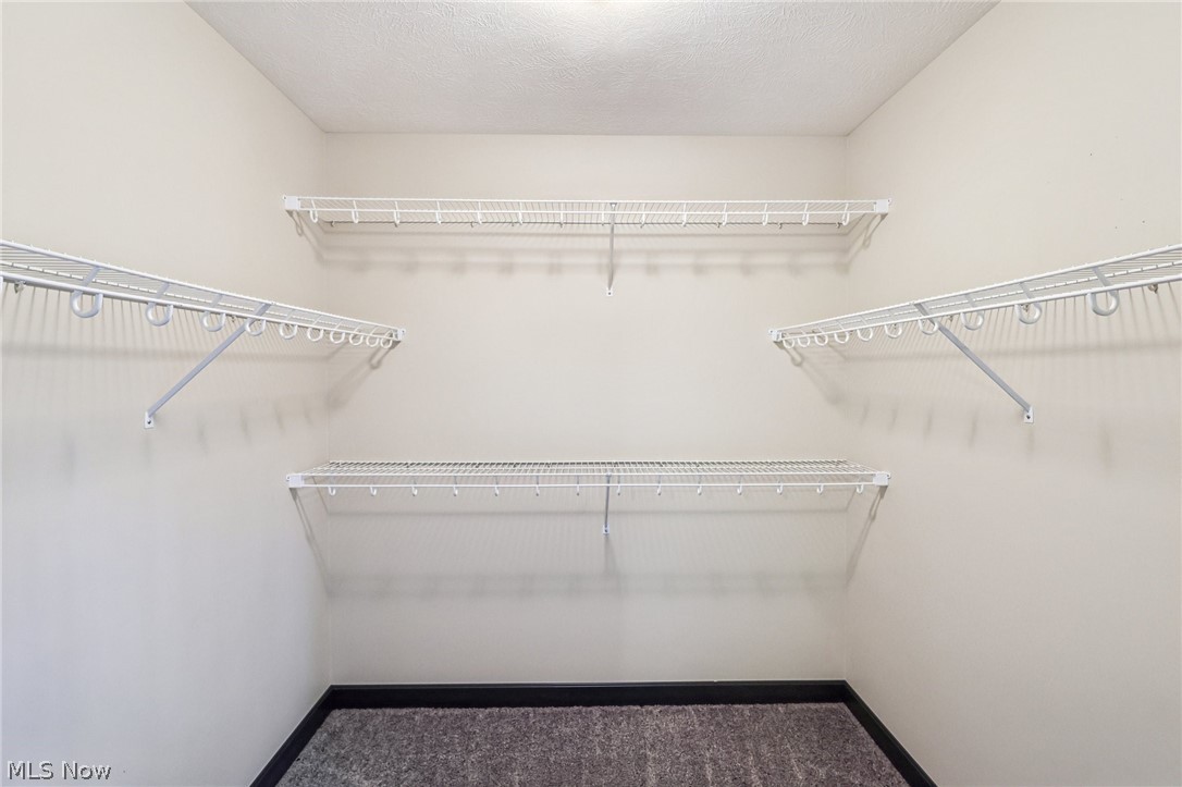 471 Tulip Trail Wadsworth OH 44281