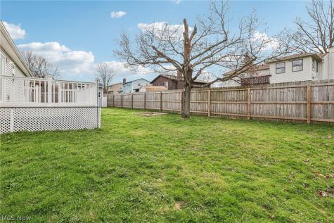 471 Tulip Trail Wadsworth OH 44281