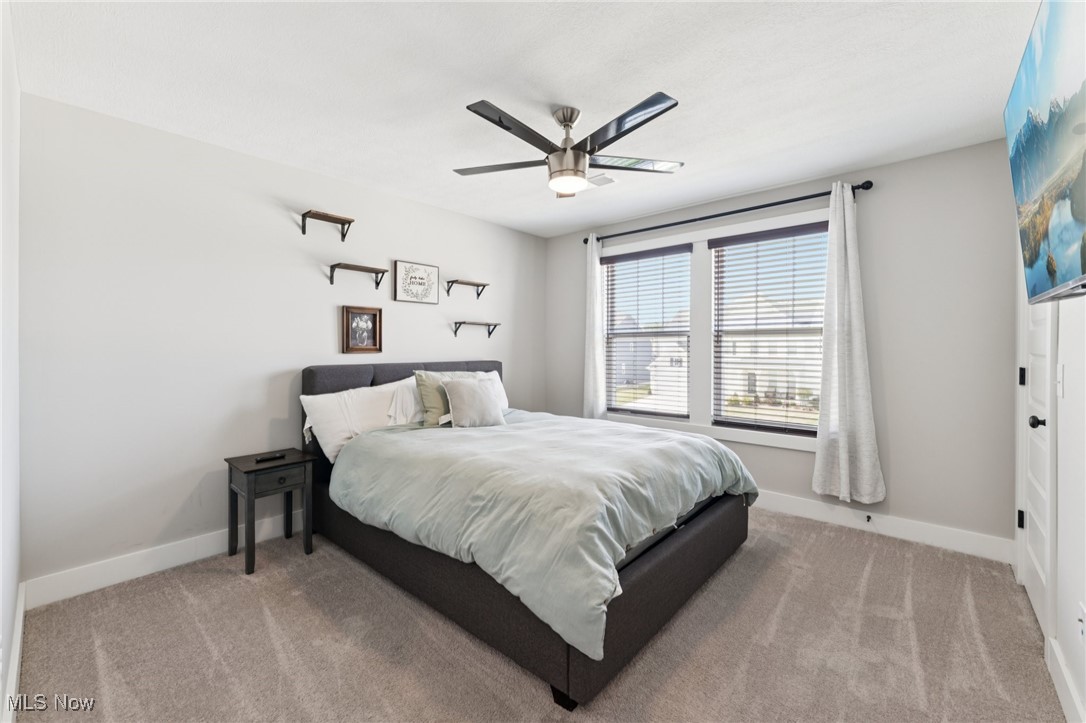 8809 Leatherleaf Drive Columbia Station OH 44028