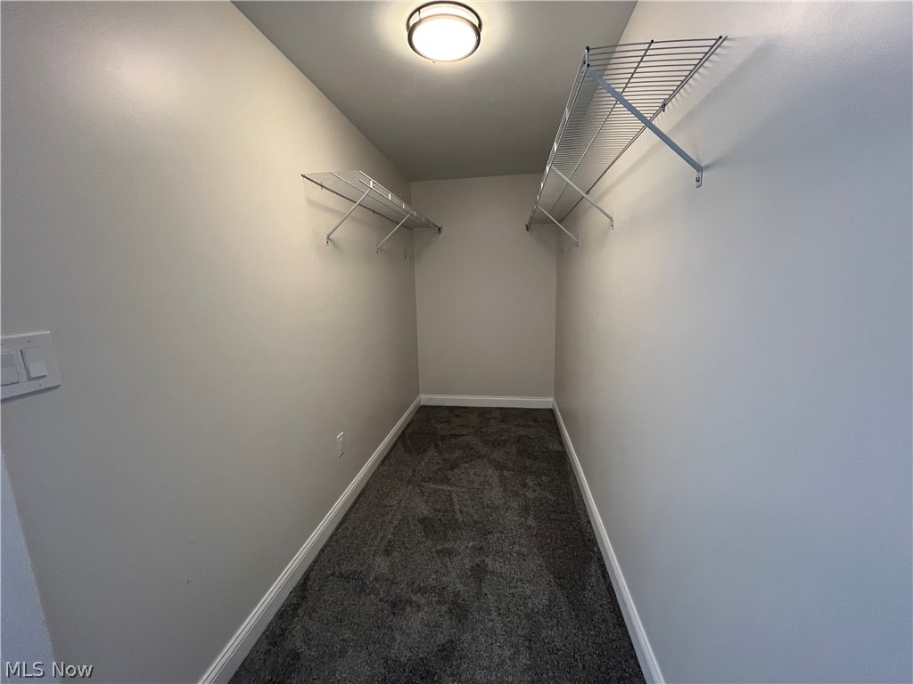 13325 Carrington Avenue Cleveland OH 44135
