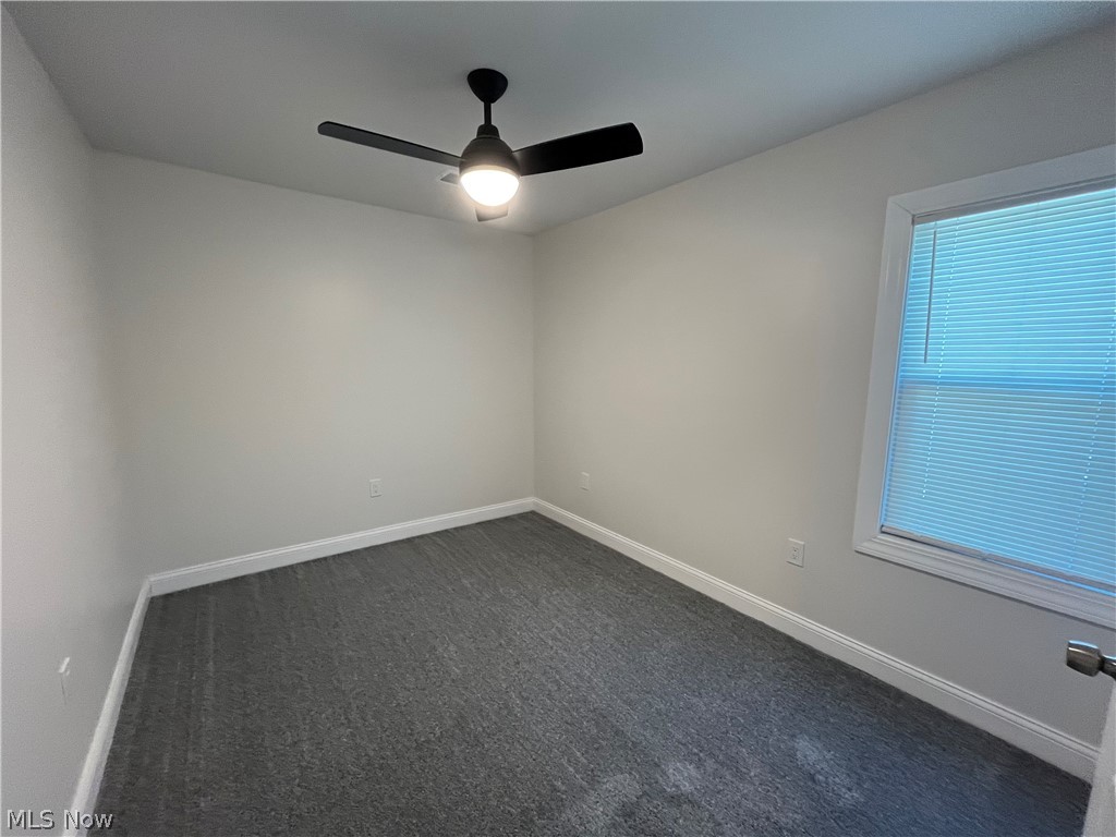 13325 Carrington Avenue Cleveland OH 44135