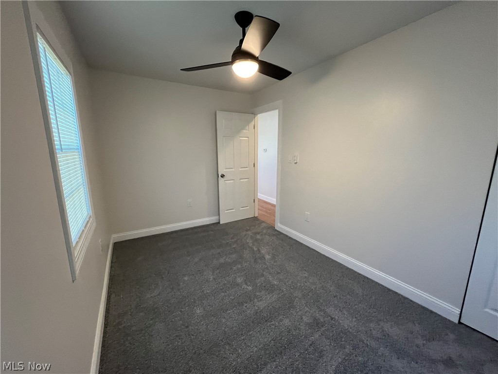 13325 Carrington Avenue Cleveland OH 44135