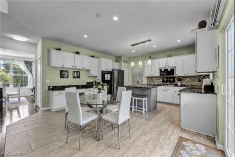 10342 Townley Court Aurora OH 44202