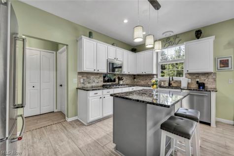 10342 Townley Court Aurora OH 44202