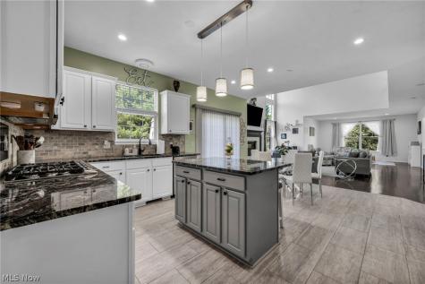 10342 Townley Court Aurora OH 44202