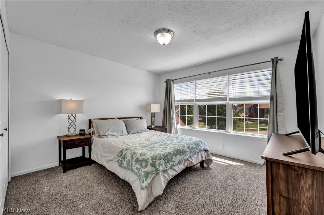 10342 Townley Court Aurora OH 44202