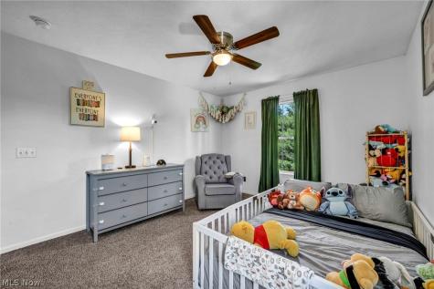 10342 Townley Court Aurora OH 44202