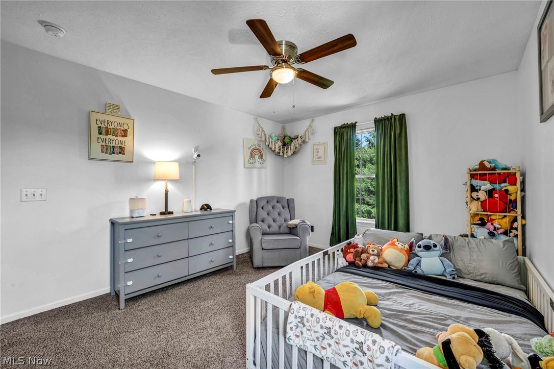 10342 Townley Court Aurora OH 44202