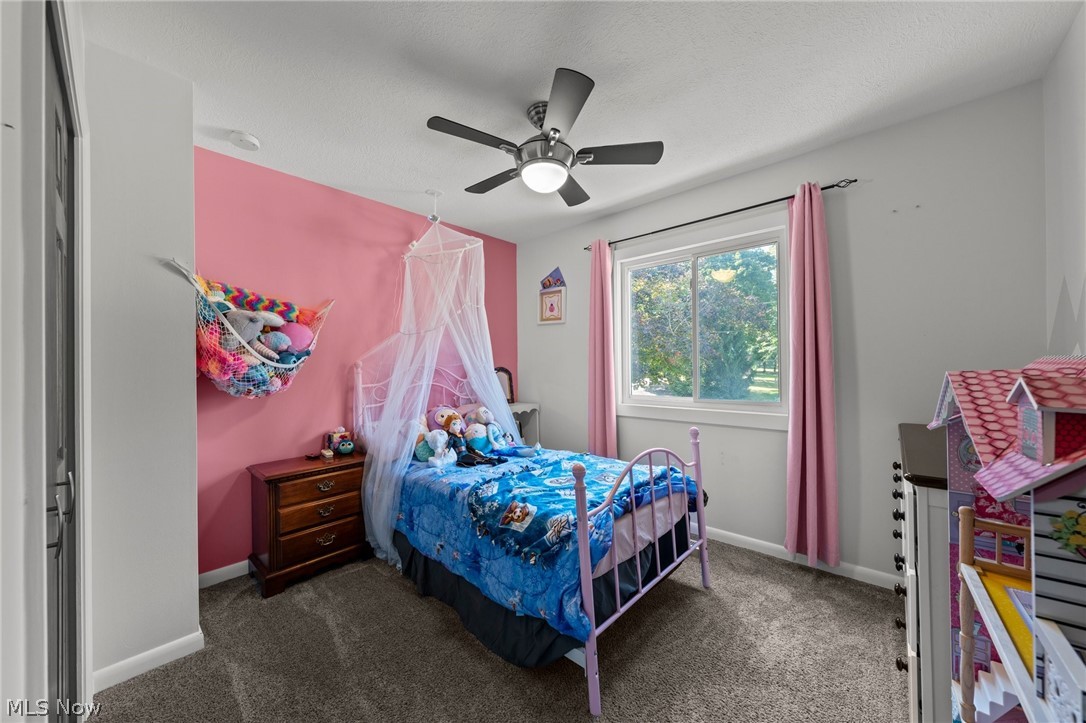 427 Brian Drive Tallmadge OH 44278