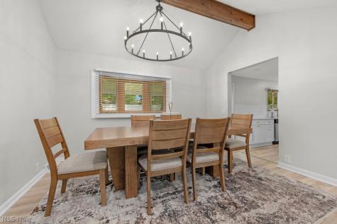 3693 Bramblewood Drive Brunswick OH 44212