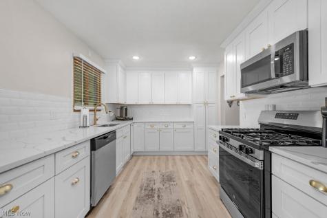 3693 Bramblewood Drive Brunswick OH 44212