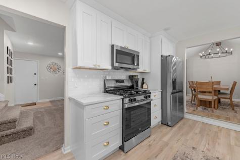 3693 Bramblewood Drive Brunswick OH 44212