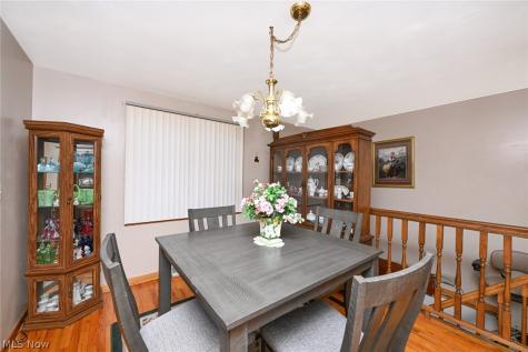 110 Schempp Street Lodi OH 44254