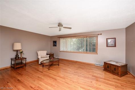 110 Schempp Street Lodi OH 44254
