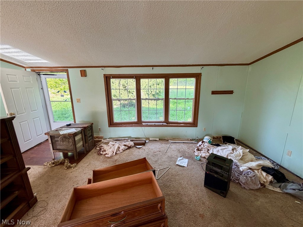 9200 Horn Road Windham OH 44288