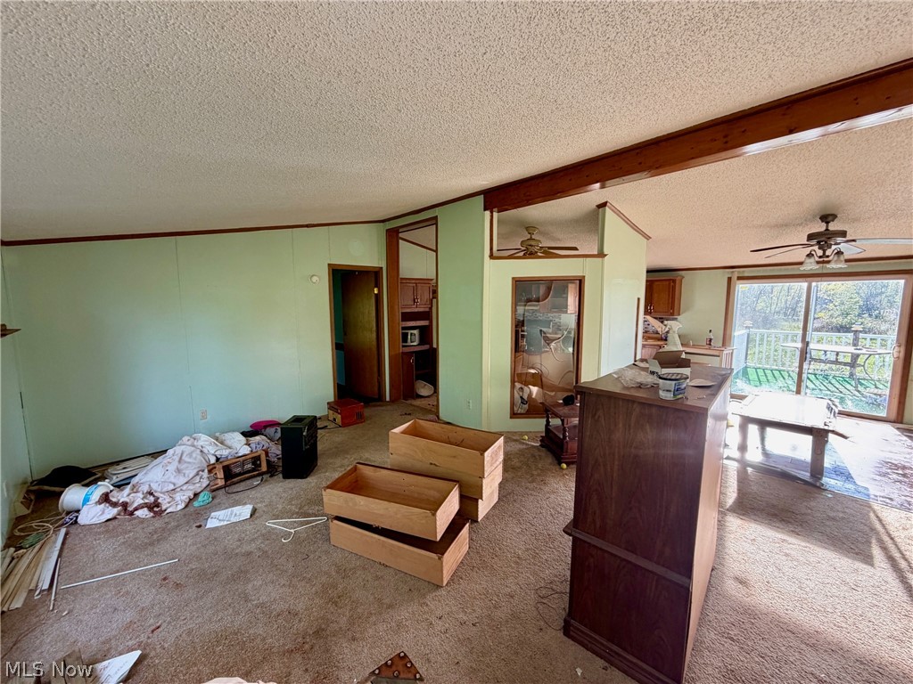9200 Horn Road Windham OH 44288