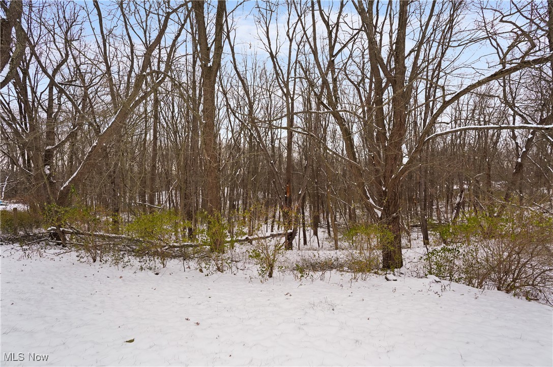 2218 Lee Drive Akron OH 44306