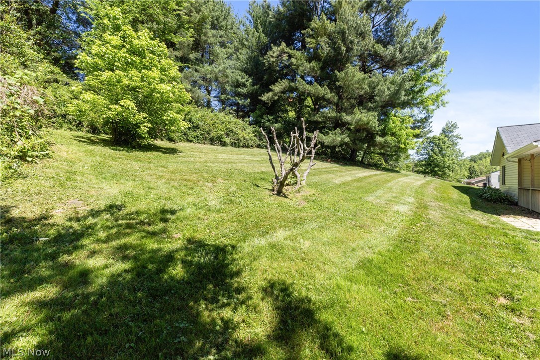 71660 Sunny Acres Drive Martins Ferry OH 43935