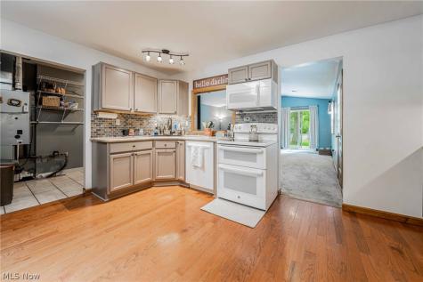 1981 Pinewood Drive Brunswick OH 44212