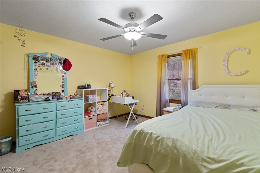 8220 Wilhite Drive Wadsworth OH 44281