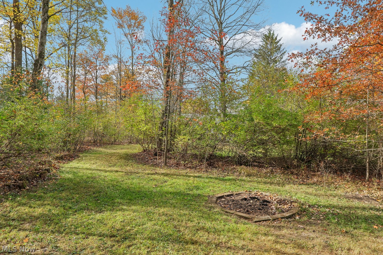 13311 Shady Lane Chesterland OH 44026