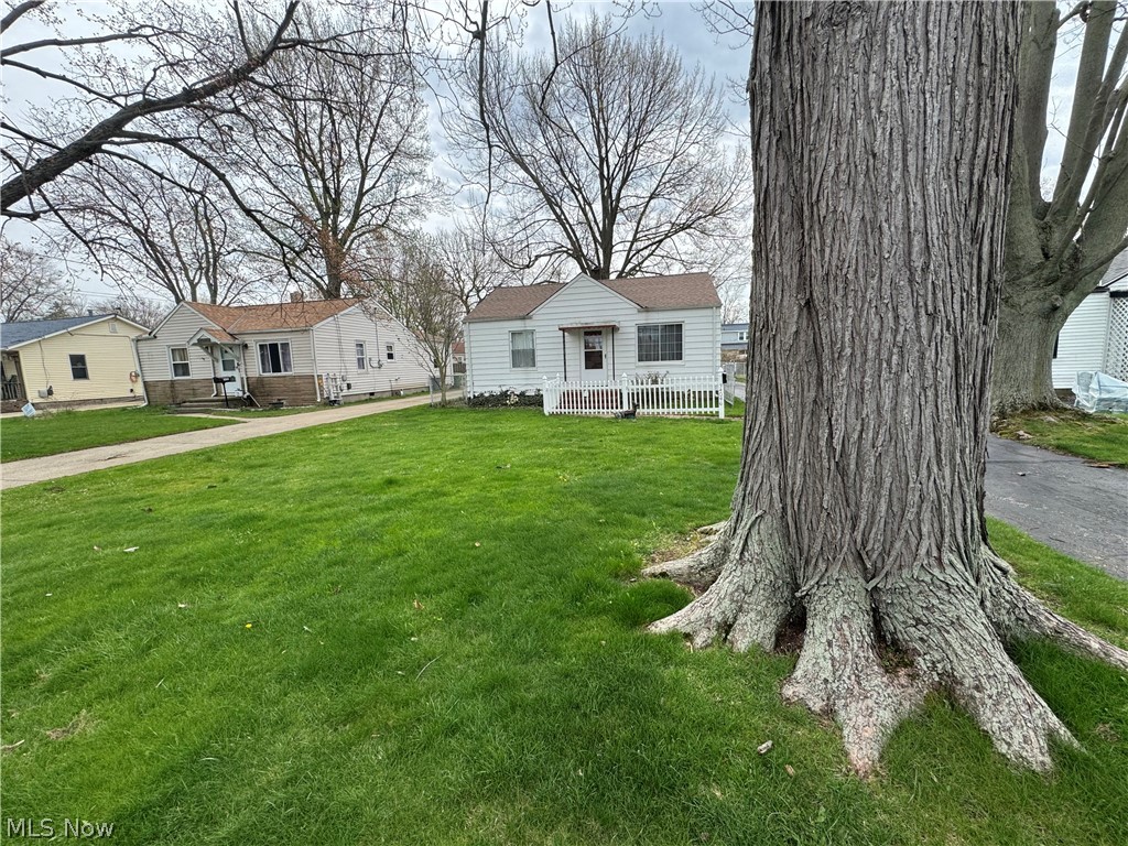 34046 Sylvia Drive Eastlake OH 44095