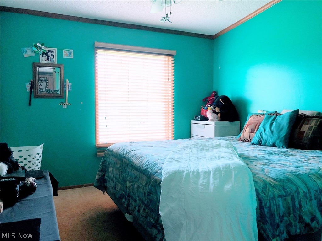 48401 State Route 511 Oberlin OH 44074