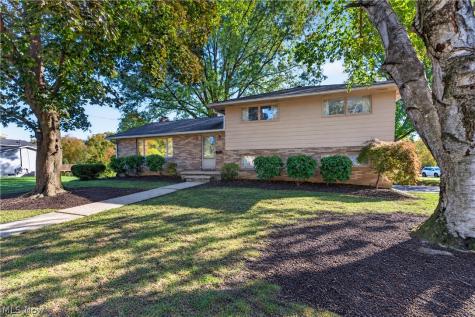 44 Elm Street Rittman OH 44270