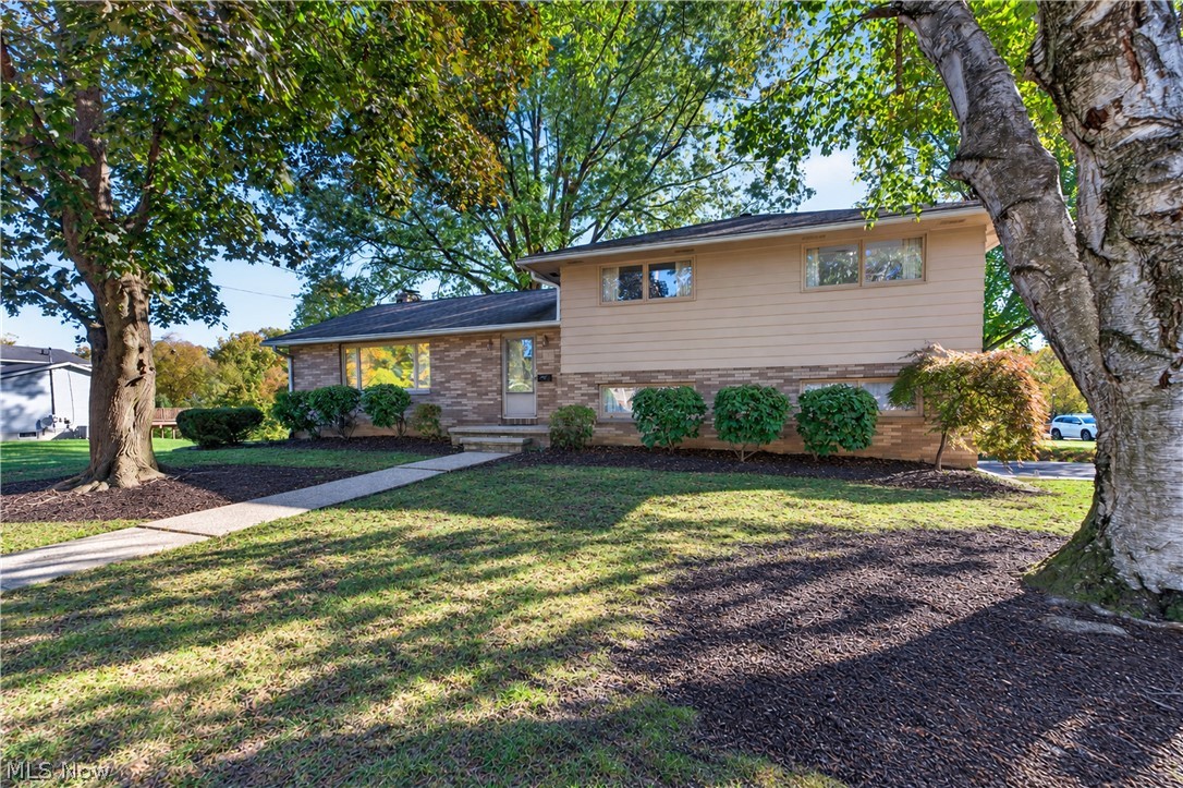 44 Elm Street Rittman OH 44270