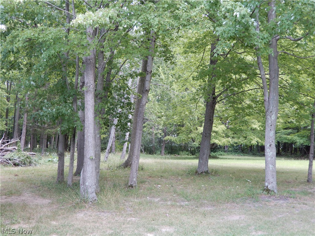 1625 Sherman Street Geneva OH 44041
