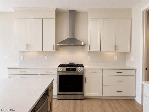 3647 Williams Court Avon OH 44011