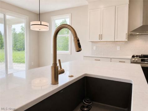 3647 Williams Court Avon OH 44011