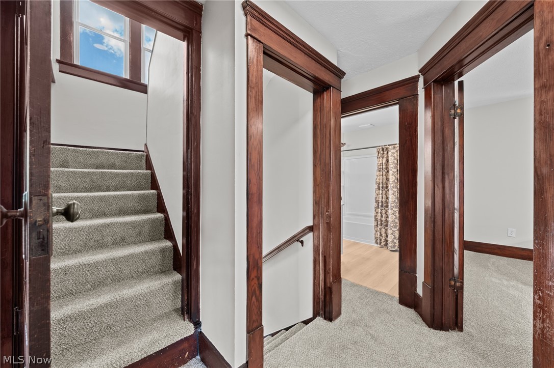81 Cotter Avenue Akron OH 44305