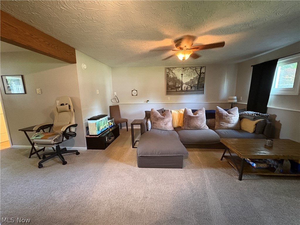 110 Habant Drive Amherst OH 44001
