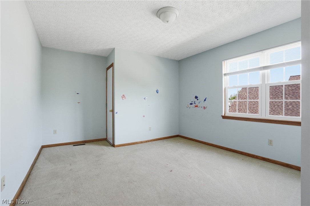 60 Bellmore Street Painesville OH 44077