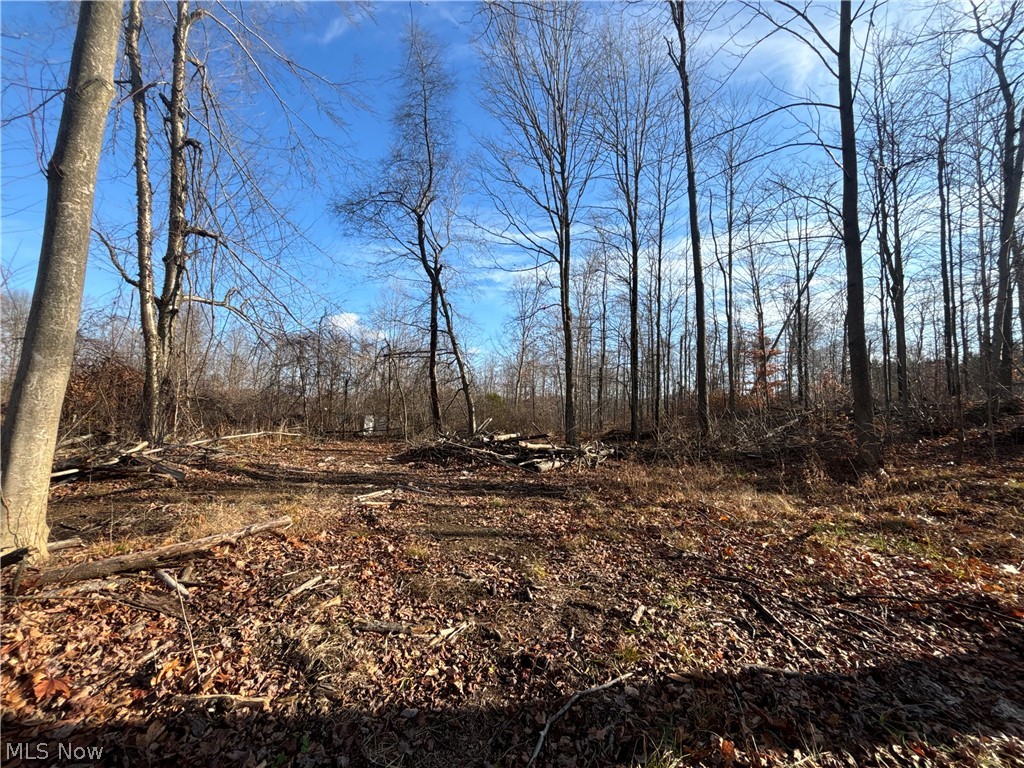 10775 Bell Road Newbury OH 44065