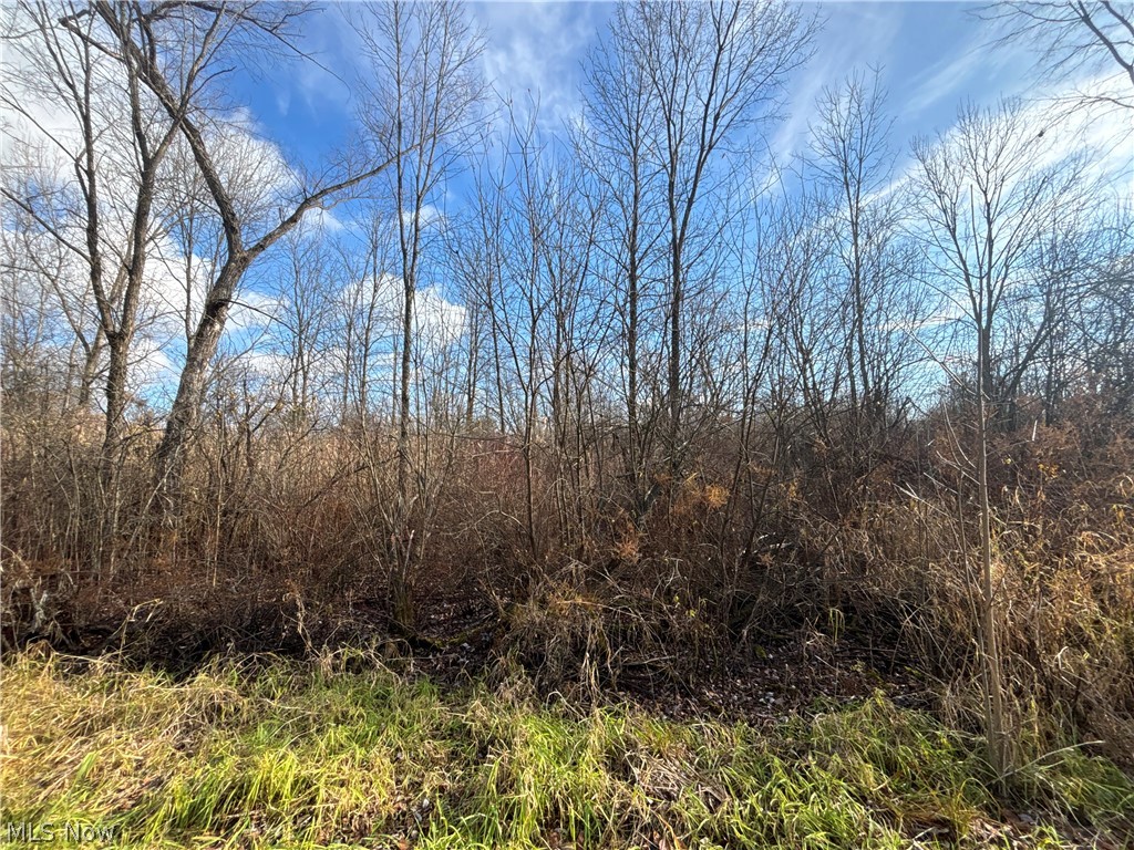 10775 Bell Road Newbury OH 44065