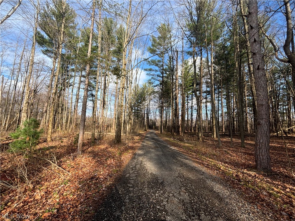 10775 Bell Road Newbury OH 44065