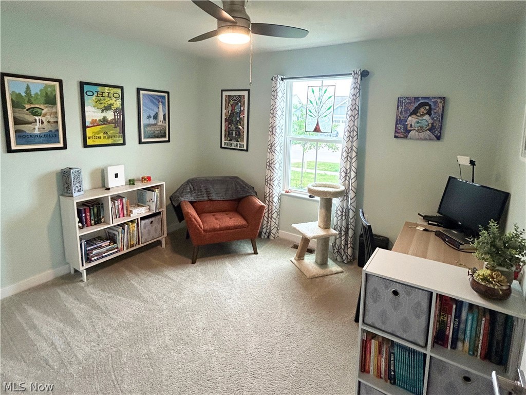 3797 Willow Way Perry OH 44081