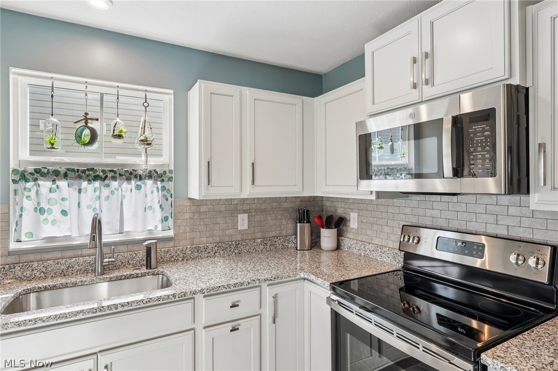 3797 Willow Way Perry OH 44081
