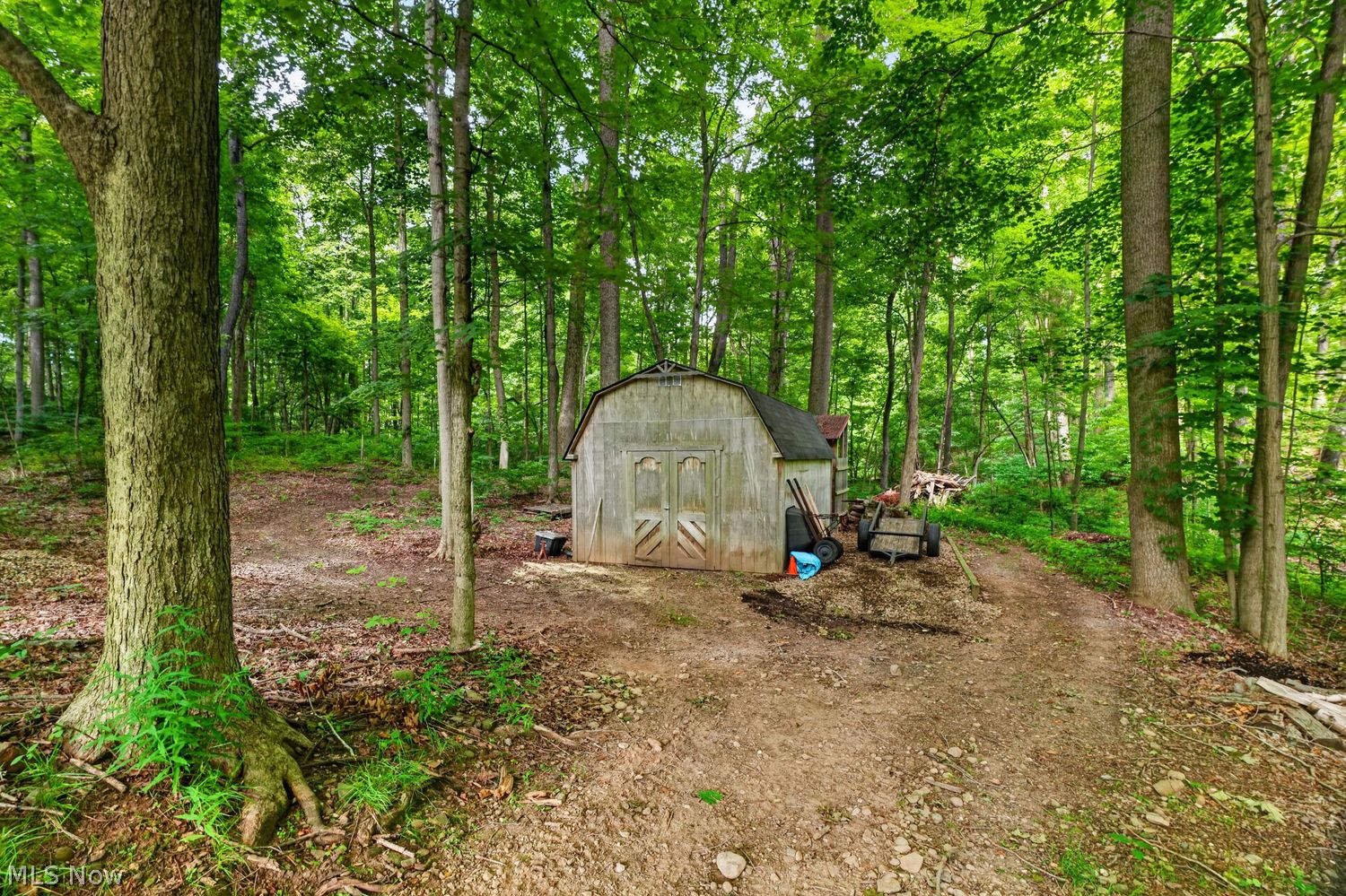 11605 Legend Creek Drive Chesterland OH 44026